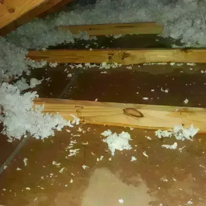 Attic Water Damage in Whitman, MA